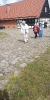 cudzechwalicie_10